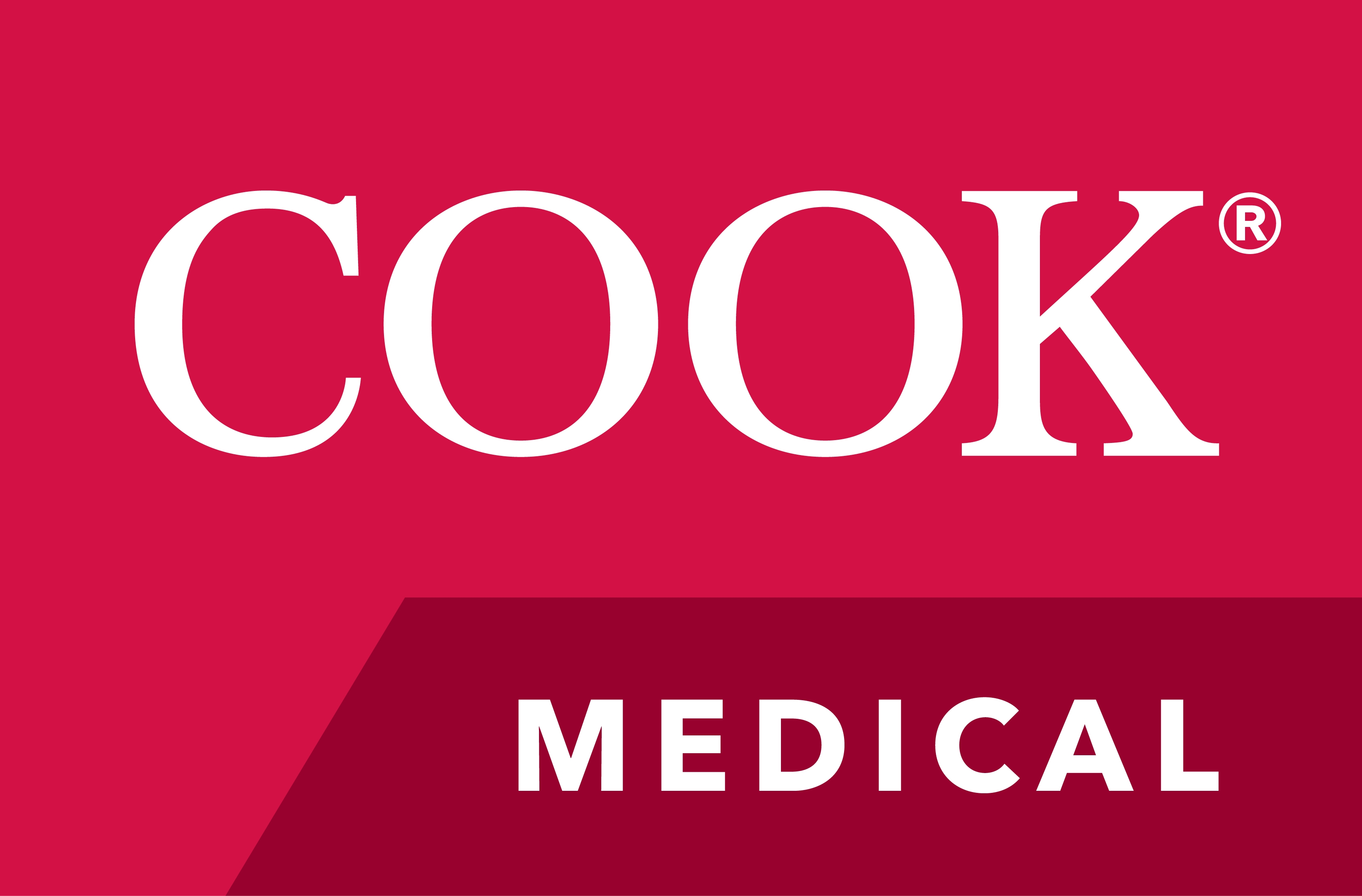 Cook Deutschland GmbH